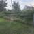 100 Feet Chainlink Plus 4 Foot Gate 1 thumbnail