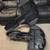 Plano Bow-Max Crossbow Case 2 thumbnail