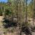 Creekfront lot less than 1hour from Denver, financing 7 thumbnail