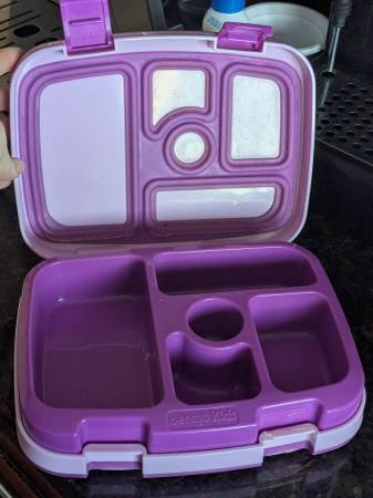 Free, broken Bentgo lunch box 1