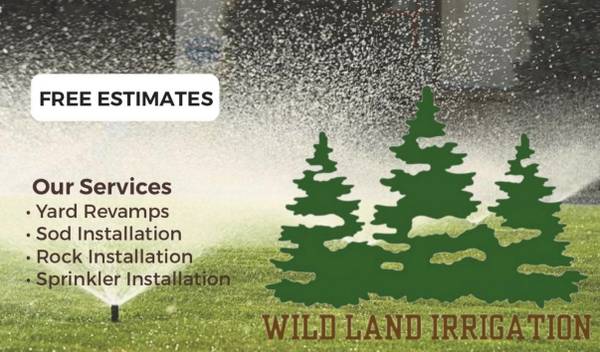 Sprinkler / Sod Installation 1