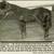 Built Eastern OR Tuff, Proven Ranch/Rodeo/Timed Event Producer 5 thumbnail
