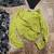 Zara Bright Green Long Sleeve Crop Blouse Size XS 9 thumbnail