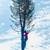 Affordable Tree Work - Small Business - Quality Work 13 thumbnail