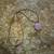 Corded Necklaces 1 thumbnail