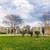 Solid Surface Countertops, Walkability to Schools, 2/BD 5 thumbnail