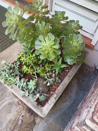 MEDIUM modern rectangular cement gray OUTDOOR pot/ planter 1
