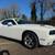 2019 Dodge Challenger SXT Coupe - Well Maintained, Low Miles. 7 thumbnail