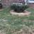3 Sons Landscaping (Lexington, Nicholasville, Danville, Versailles) 19 thumbnail