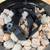 Propane fire pit 3 thumbnail