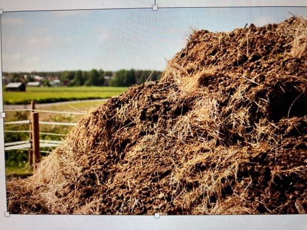 Aged Manure/compost/fertilizer 1