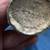 Vintage Harmony House AA+ Silver Plate Salt & Pepper Set 6 thumbnail