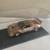 BMW M1 "WARSTEINER" Le Mans 1983, Collector's model, scale 1:43 2 thumbnail