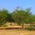 Dry camp 1 acre 3 thumbnail