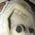 Geodes, Petrified wood etc Ad #2 of 7 8 thumbnail