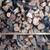 Canopy covered Eucalyptus firewood 1st barrel only 3 thumbnail