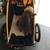 Nishiki 21 speed Mountain bike and Burley Tail Wagon Dog Carriage 14 thumbnail