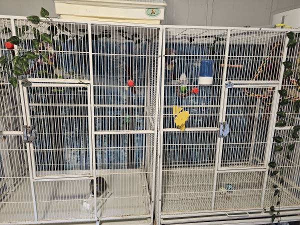 Large bird cage 1