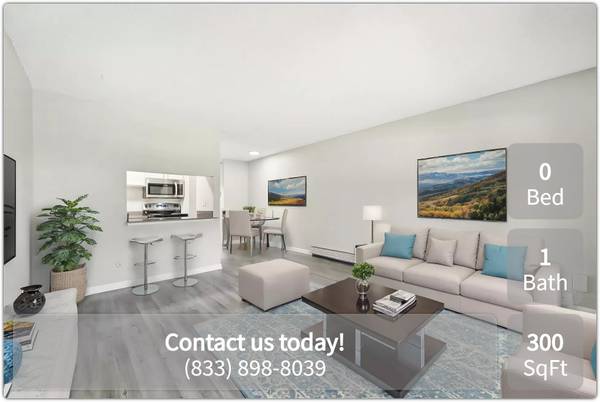 $996 / 300ft2 - The right place for you! Beautiful Studio  - prime location! (Denver)63962925990146121
