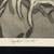 MCM Woodblock Print by listed artist Barbara Hughes "Spider Conch" 6 thumbnail