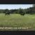 Roan Mare Gorgeous Sweet Gentle Broke for ANY rider 18 thumbnail
