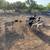 Selling herd 15 ewes 8 thumbnail