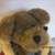 Boyds Bear 2 thumbnail