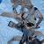 Lounge Type Tree Stand Extremely Comfortable Extremely Safe 4 thumbnail