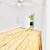 BARGAIN SUN LIT EV JUNIOR 1 BED DIGS___LAUNDRY BLDG - PRIME LOCATION! 3 thumbnail