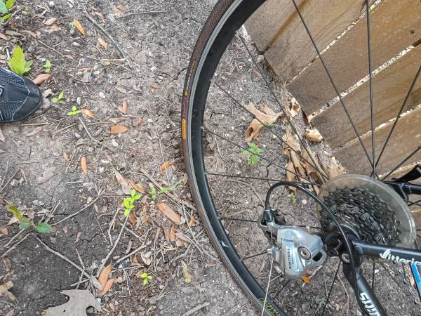 Orbea line 1