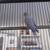 6 Fischer eyering split to Euwing lovebirds love bird 12 thumbnail