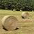 Cow hay for sale 2025 3 thumbnail