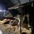 Bottle calves 8 thumbnail