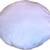 Pillow Insert, 32" Round, Poly Fill, Cotton Cover, NEW 2 thumbnail