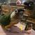 3 Conures 1 thumbnail