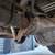 2004 Ford F250 Super Duty Diesel Crew Cab Lariat Edition 11 thumbnail