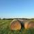 4x5 john deere net wrapped hay 1 thumbnail