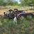 10 ft Utility Trailers 2 thumbnail