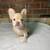 Available for Forever Homes 11 thumbnail