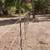Fence 5 thumbnail