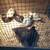 Blue Tassel Gamefowl 2 thumbnail