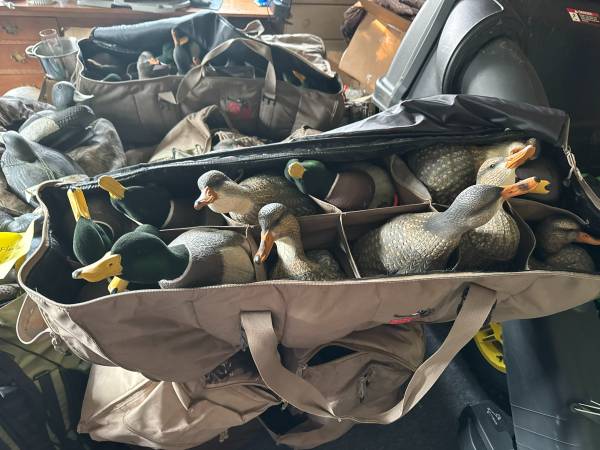 Duck decoys 1