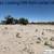 40 Acres of Raw LAND for Sale - Seller Financing!! 4 thumbnail
