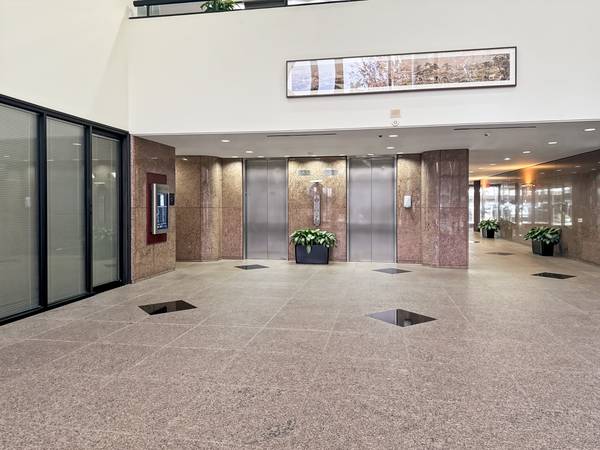 20% OFF! Elevate Your Business Presence with HQ 1