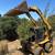 2006 CATERPILLAR 262 turbo skidsteer loader 5 thumbnail