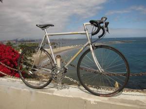 Specialized Allez Pro - Dinucci designed