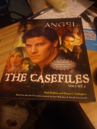 angel casefiles    book 1