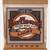 Strings Acoustic Guitar Various Brands and Prices 3 thumbnail