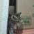Kittens Siamese/Mix 7 thumbnail