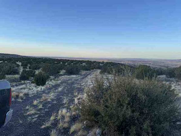 $150 /mo. 0.37-Acre Retreat with Beautiful Views! (Concho, AZ)63806044800385122